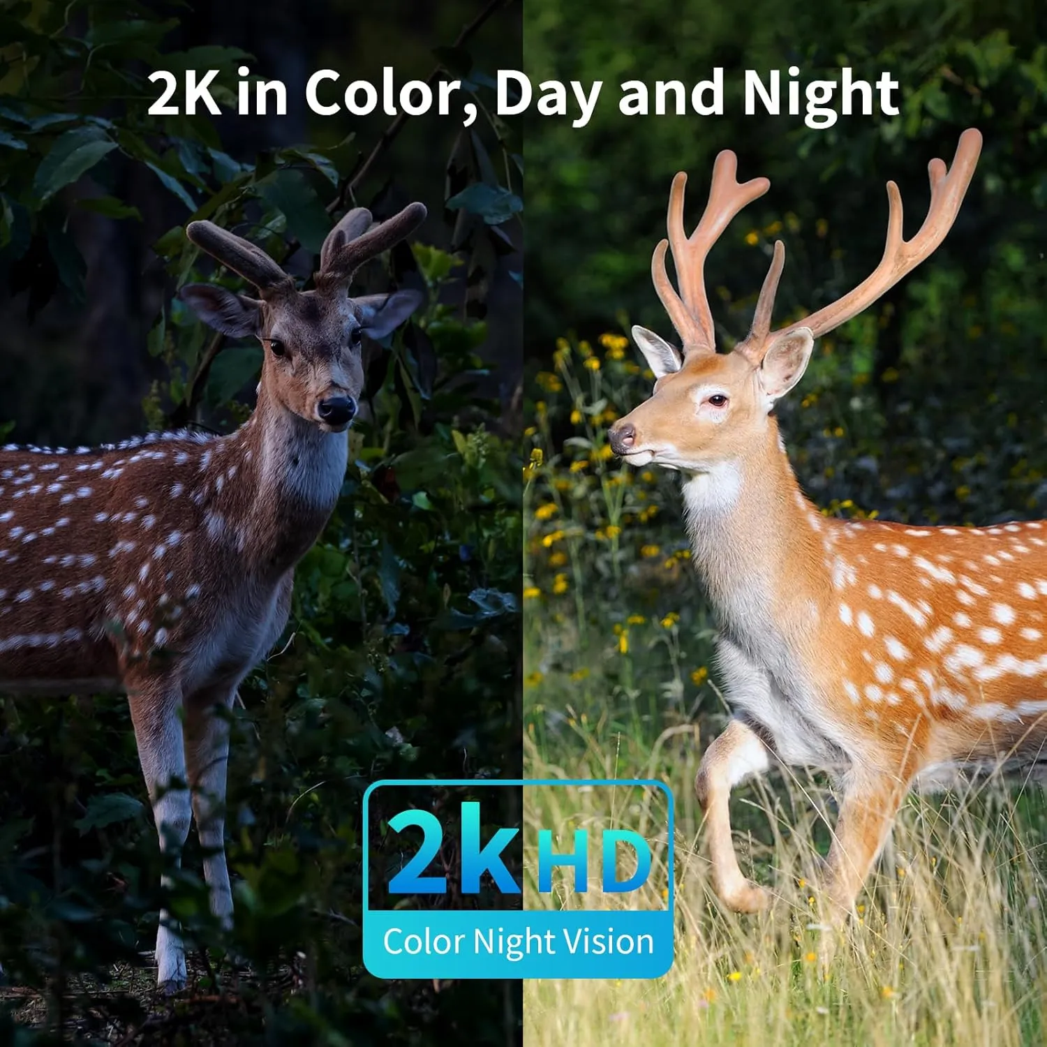 4G LTE Cellular Security Cameras Outdoor, 2 Pack No WiFi Security Camera Solar Powered with 360 View, 2K Color Night Vision, Includes SIM Card(Support Verizon/AT&T/T-Mobile)