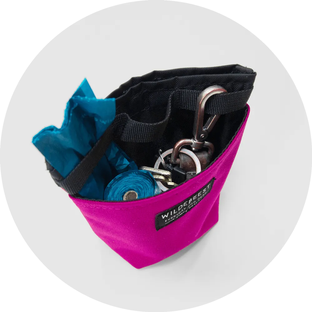 Alamo Dog Treat Pouch