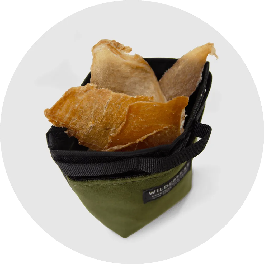 Alamo Dog Treat Pouch