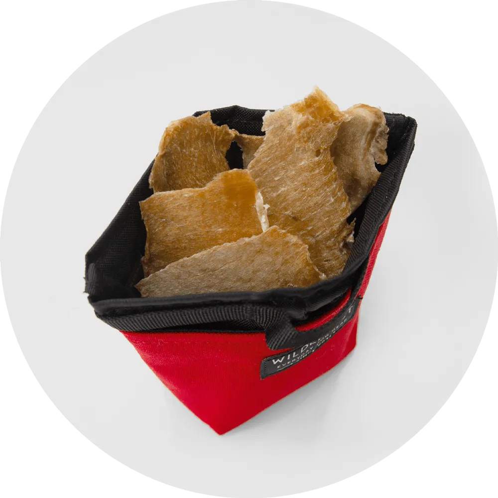 Alamo Dog Treat Pouch