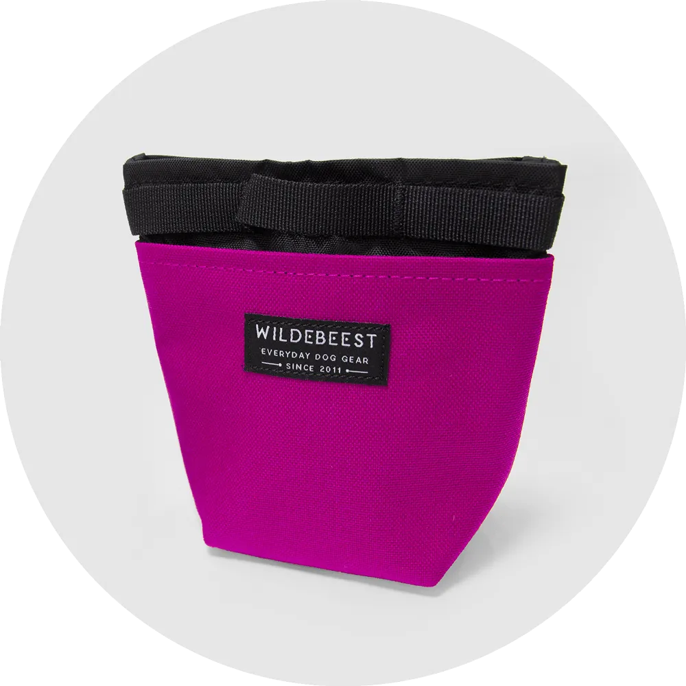 Alamo Dog Treat Pouch