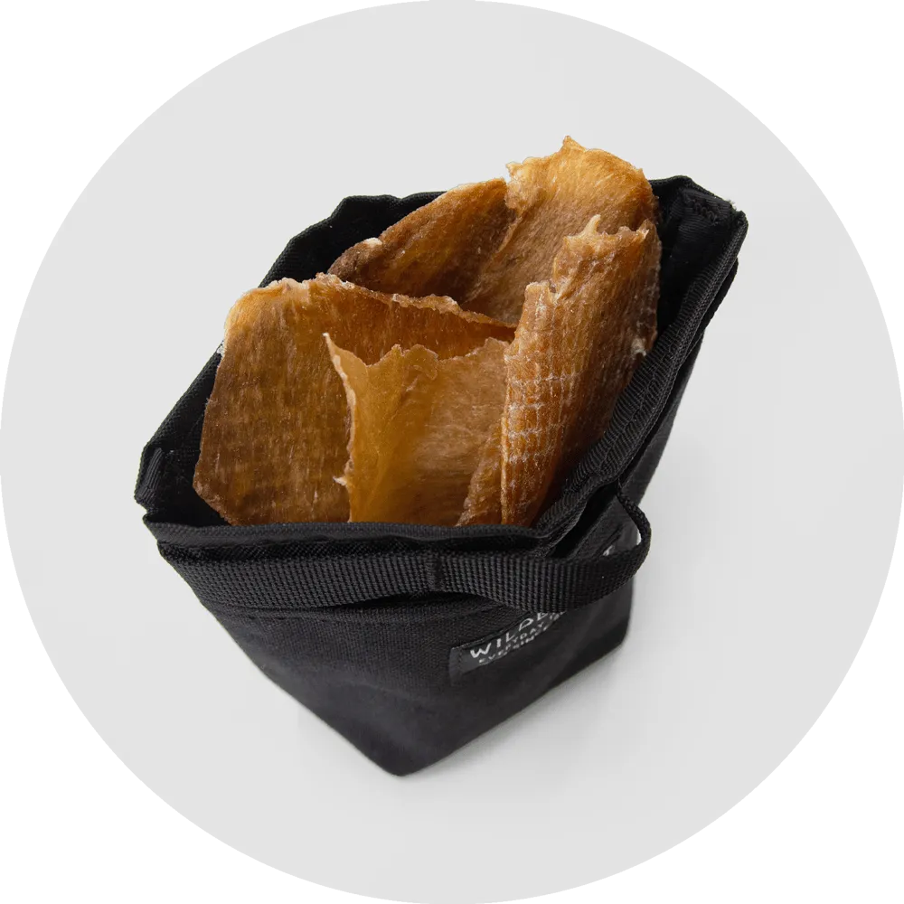 Alamo Dog Treat Pouch