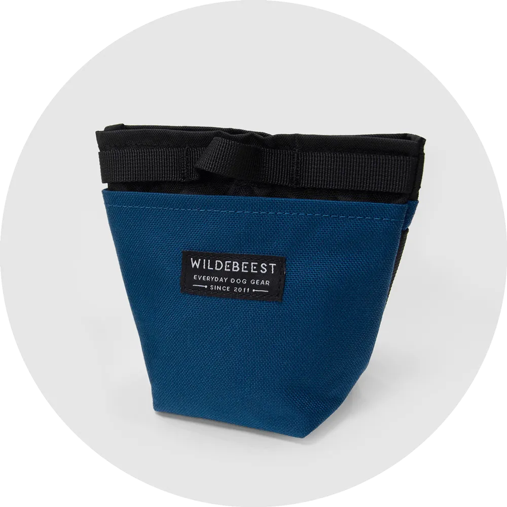 Alamo Dog Treat Pouch
