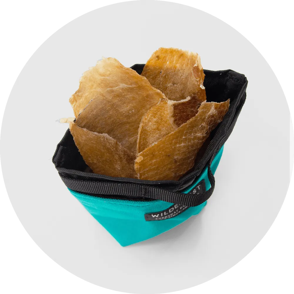 Alamo Dog Treat Pouch
