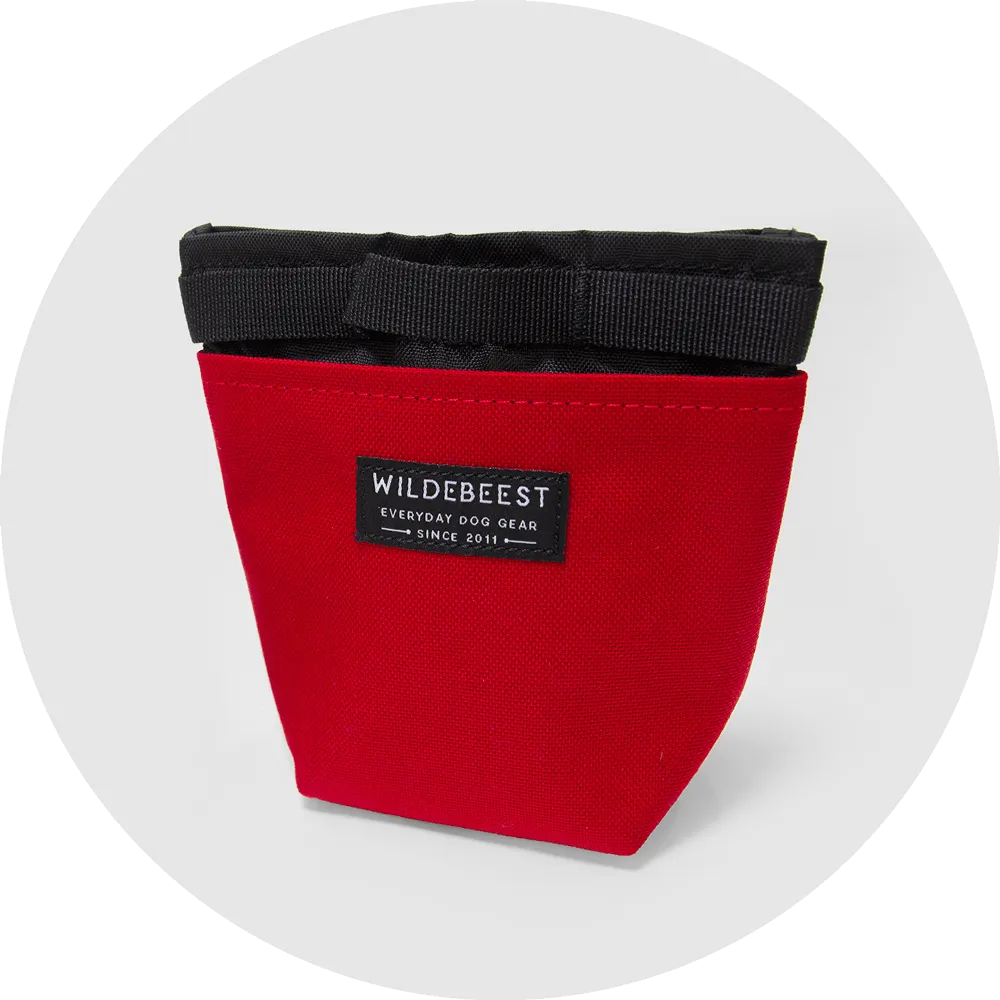 Alamo Dog Treat Pouch