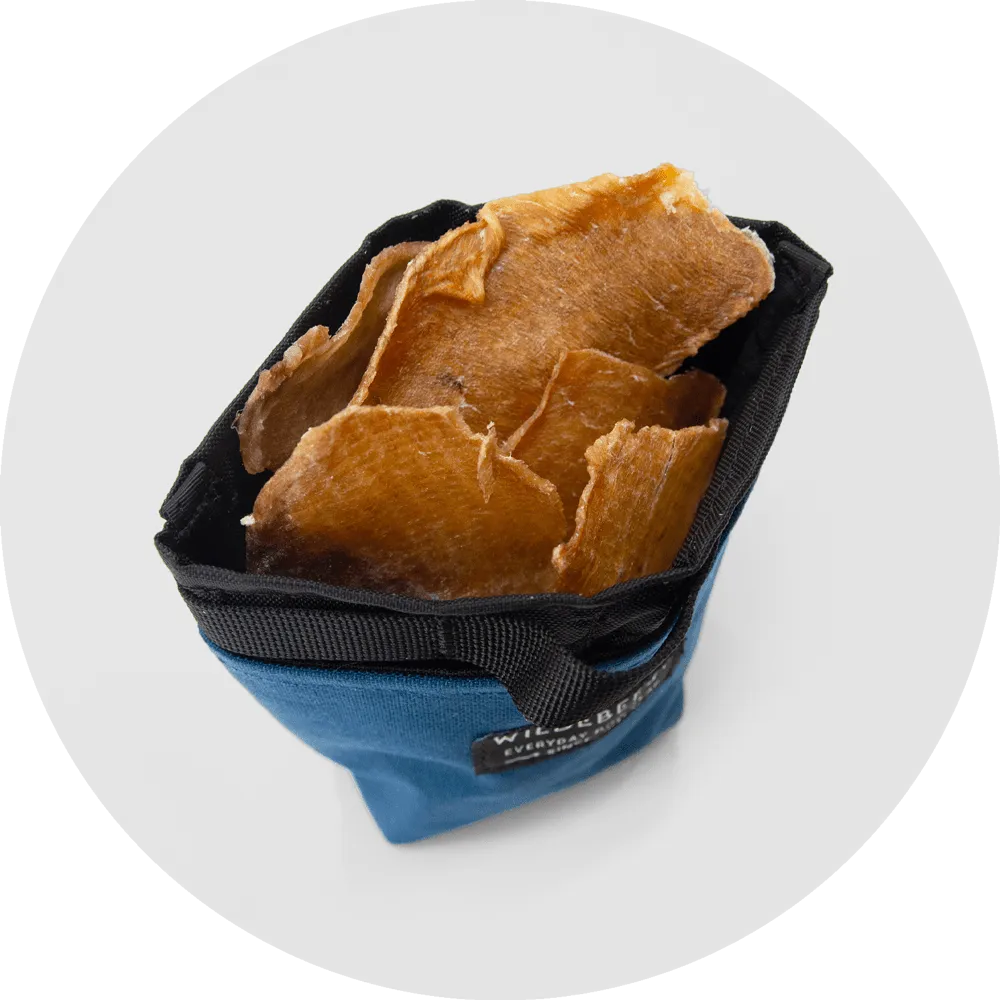 Alamo Dog Treat Pouch