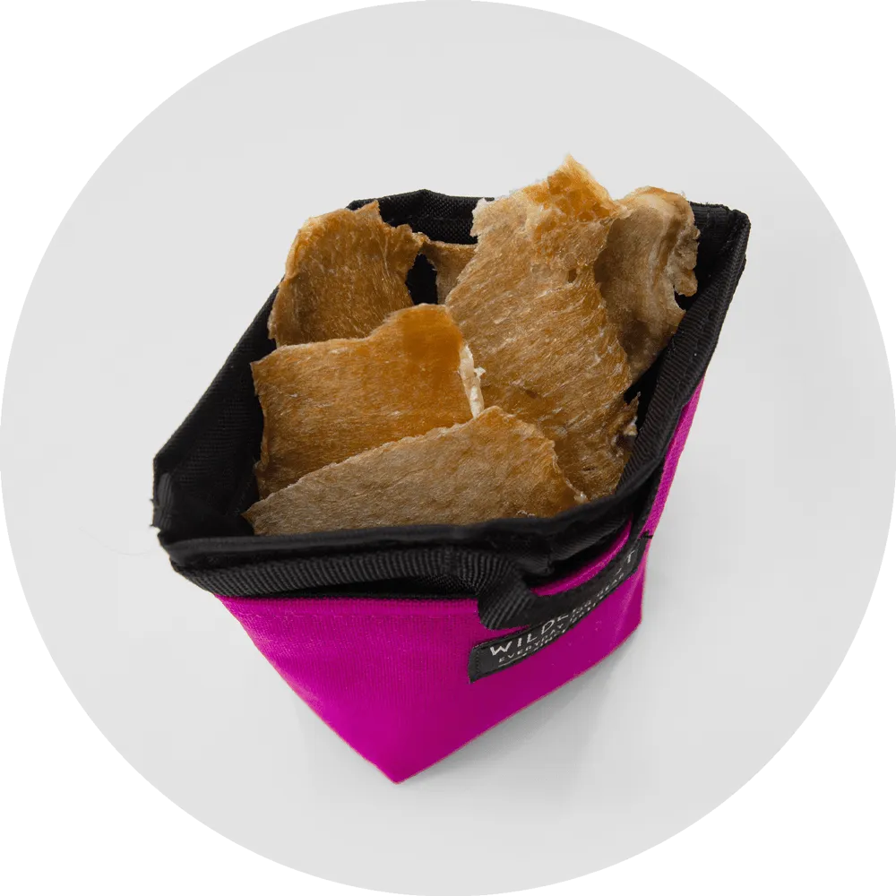 Alamo Dog Treat Pouch