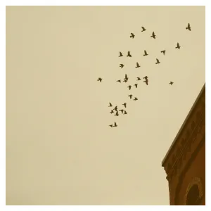 Flying Home - Fine Art Photograph
